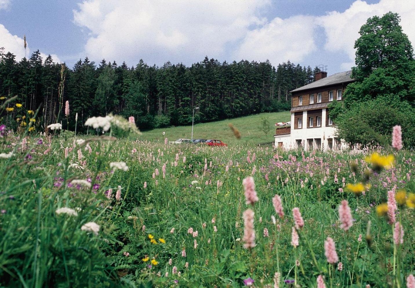 Landhaus Bergidyll Bärenstein Εξωτερικό φωτογραφία