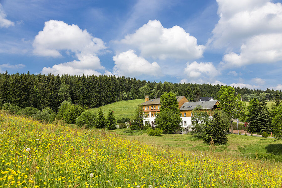 Landhaus Bergidyll Bärenstein Εξωτερικό φωτογραφία
