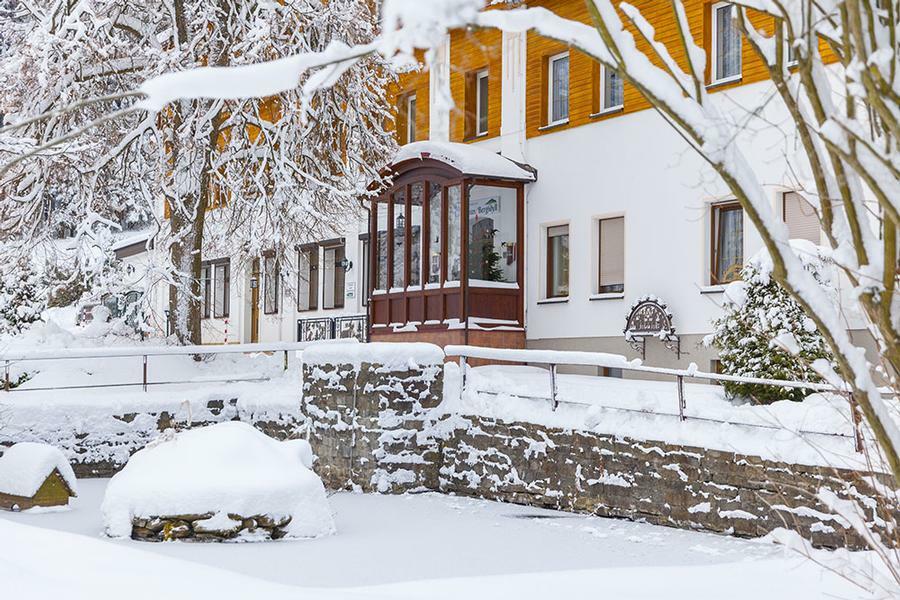 Landhaus Bergidyll Bärenstein Εξωτερικό φωτογραφία